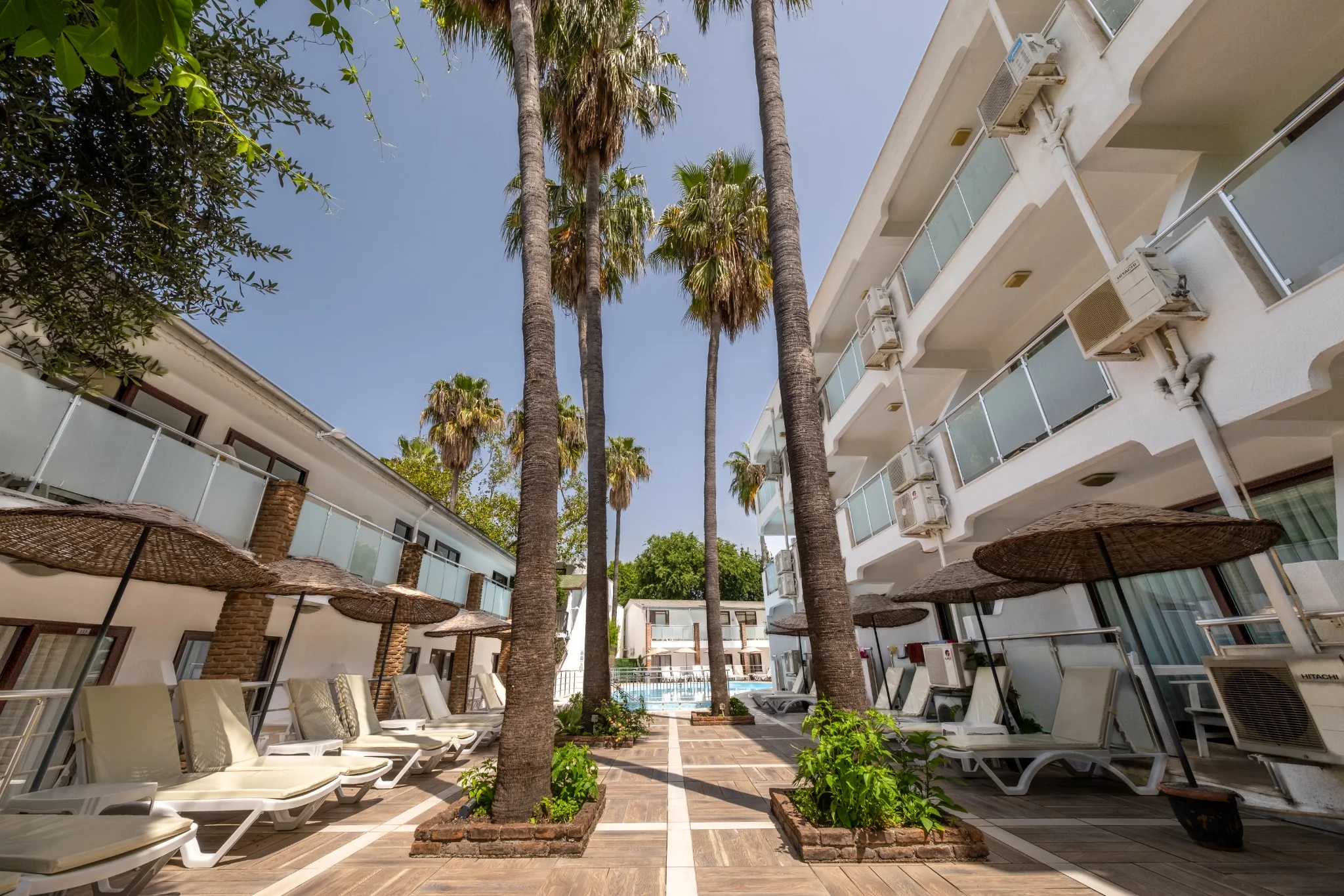 En palmkantad gång genom hotellets innergård