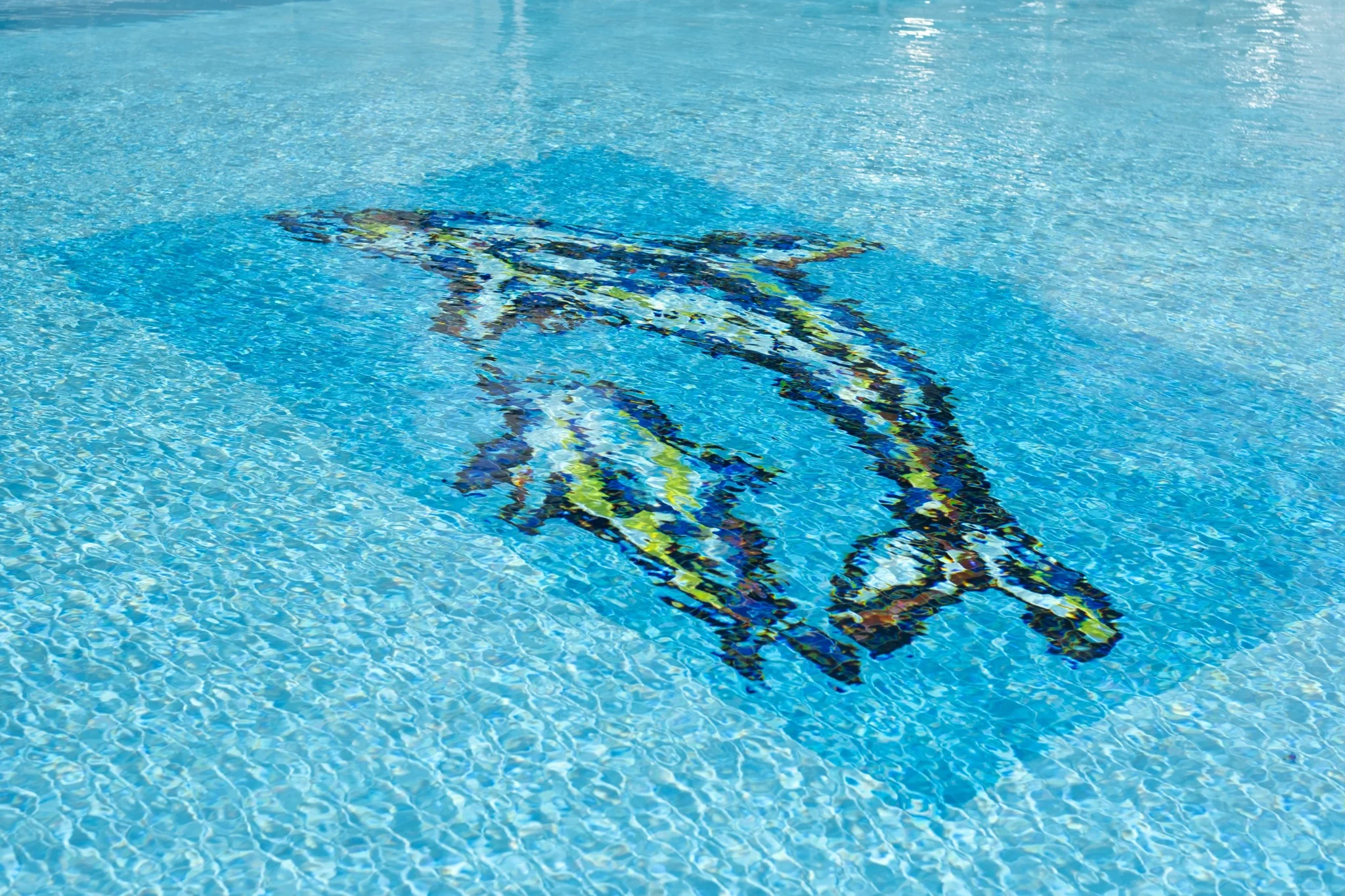En delfinmosaik under poolens vatten